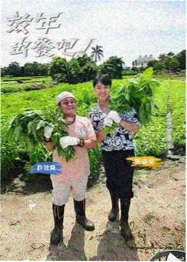 圆桌派